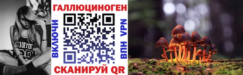 ссылка на мегу tor  Химки  Псилоцибиновые грибы мухоморы 